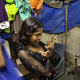 India-dance bars-Mumbai-Maharashtra